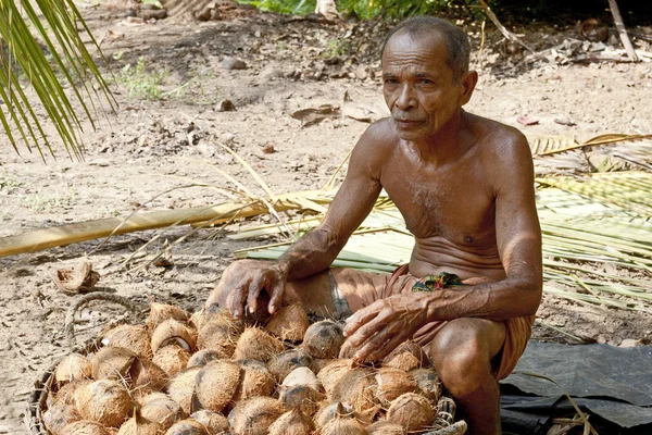 Homme travaillant sur la plantation de noix de coco — Photo