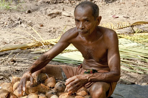 Homme travaillant sur la plantation de noix de coco — Photo