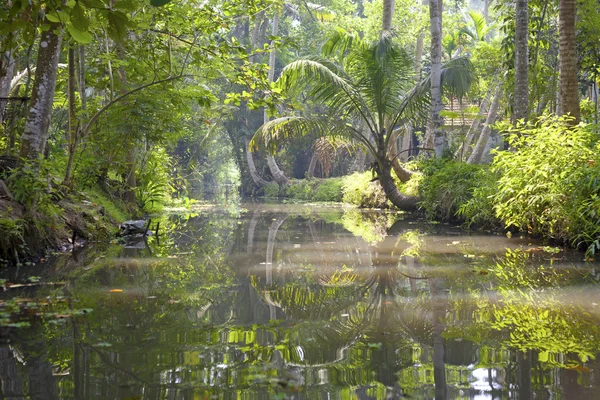 kerela, Hindistan önemsizden yolculuk
