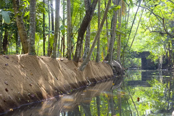 Journey through the backwaters of Kerela, India — Stock Photo, Image