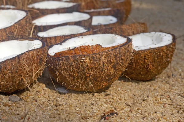 Viel frische, leckere Kokosnüsse — Stockfoto