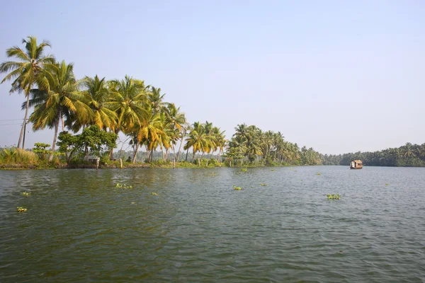 A holtágak Kerala, India hozott pálmafák — Stock Fotó