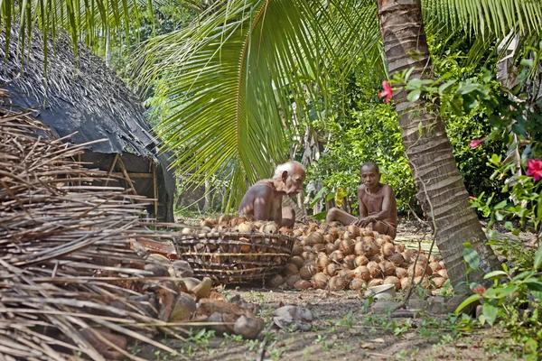 Opstuwing landschap van kerala, india. — Stockfoto