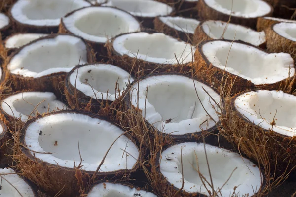 Dużo świeży smaczne Orzechy kokosowe — Zdjęcie stockowe