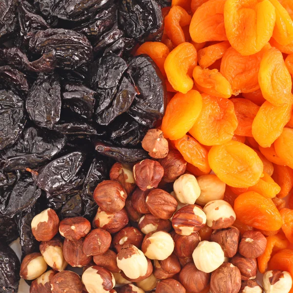 Dried fruits and hazelnuts backgtound — Stock Photo, Image