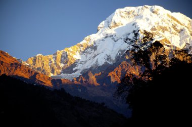 güzel manzara gündoğumu zaman, annapurna alan, nepal Himalayalar