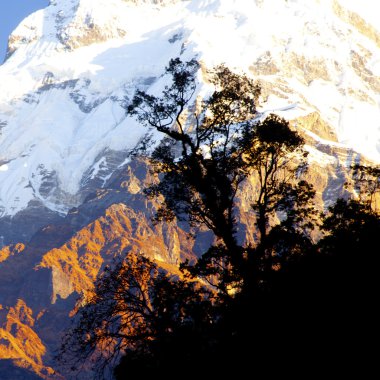 güzel manzara gündoğumu zaman, annapurna alan, nepal Himalayalar