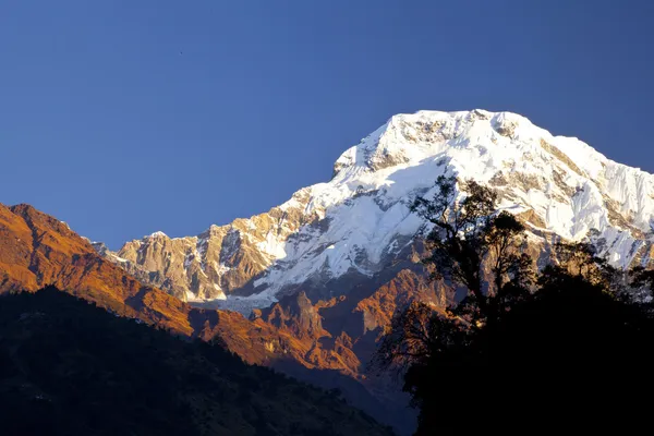 在日出时间，安纳布尔纳地区，尼泊尔的喜马拉雅山美丽的风景 — 图库照片