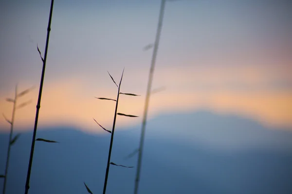 Le majestueux Himalaya au coucher du soleil, Népal — Photo