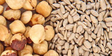 arka plan olarak farklı fındık