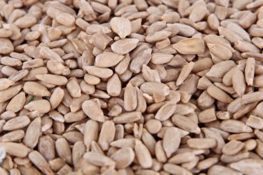 Ayçekirdeği arka planı