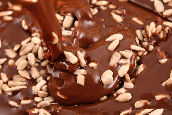 Szakadó forró olvasztott csokoládé magok a terméshez(vetőmagok) — Stock Fotó