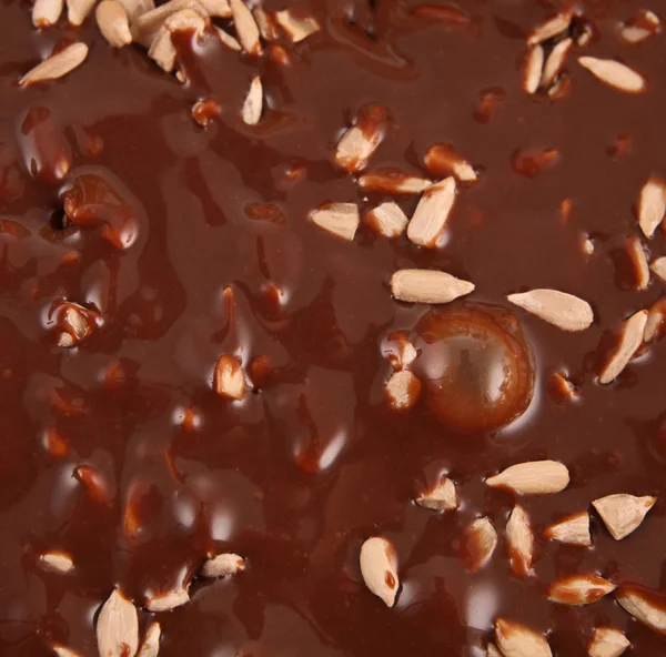 Heiße geschmolzene Schokolade mit Sonnenblumenkernen gießen — Stockfoto