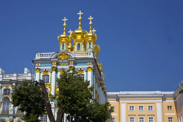 Pałacu Katarzyny w Carskim Siole (Puszkina), Federacja Rosyjska — Zdjęcie stockowe