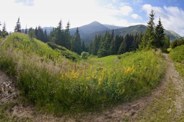 sabah güneşli bir gün dağ manzarası.
