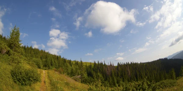 Beautiful mountains landscape in Carpathians, Ukraine — Stock Photo, Image