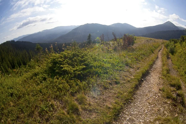 Summer landscape in mountains and the dark blue sky with clouds — Stock Photo, Image