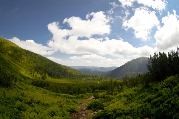 Summer landscape in mountains and the dark blue sky with clouds — Stock Photo, Image