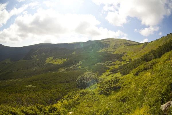 Carpathian Mountains Scenery — Stock Photo, Image