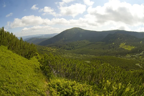 Summer landscape in mountains and the dark blue sky with clouds — Stock Photo, Image