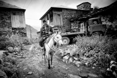 Man binicilik at