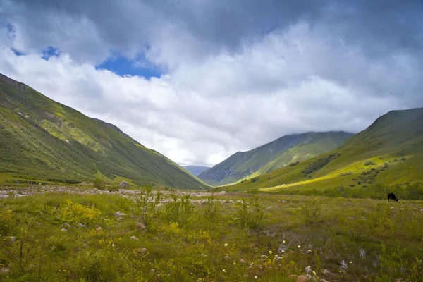 Landschap in de swanetia regio, Georgië — Stockfoto