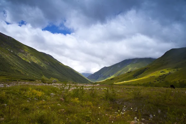 Krajobraz regionu swanetia, Gruzja — Zdjęcie stockowe