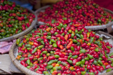 acı biber Satılık