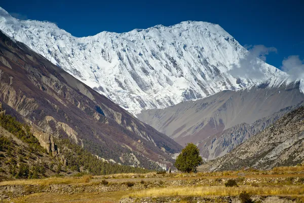 Vallée latérale sur le chemin de Manang à Thorung Phedi — Photo