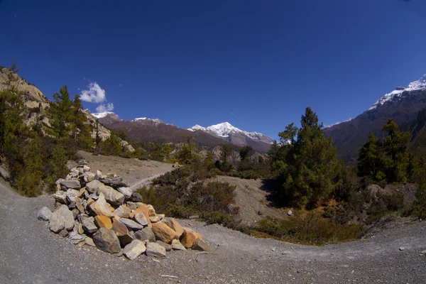 Lindo vale lateral a caminho de Manang para Thorung Phedi — Fotografia de Stock