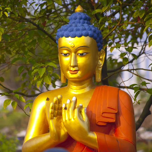 Buddha in lumbini — Foto Stock