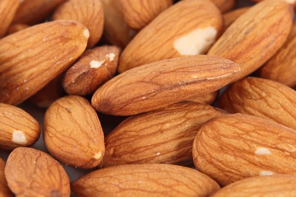 Almond nuts — Stock Photo, Image