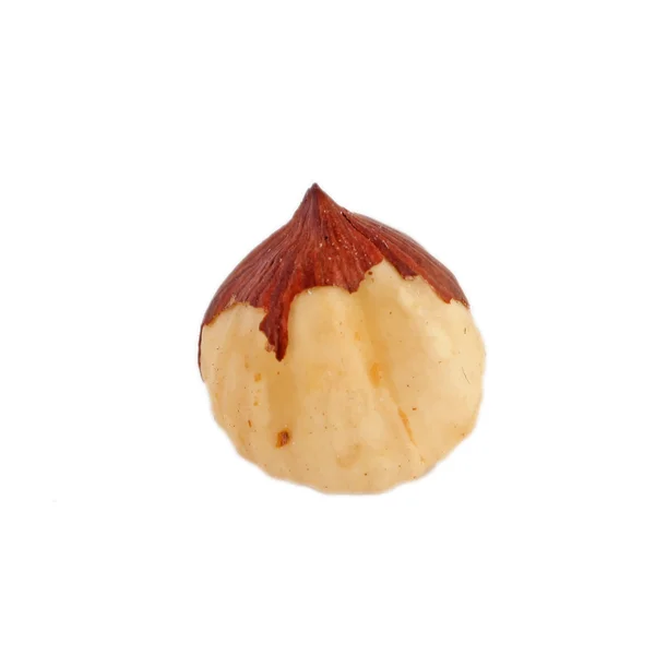 Hazel nut isolerade — Stockfoto