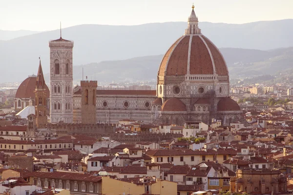 Florenz city view — Stockfoto