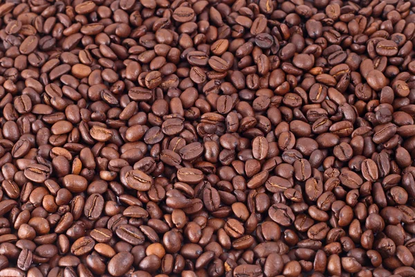 Coffee beans background — Stock Photo, Image