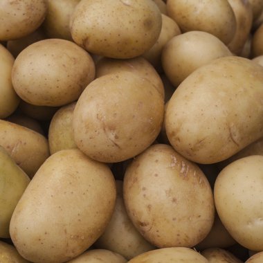 Beyaz patates
