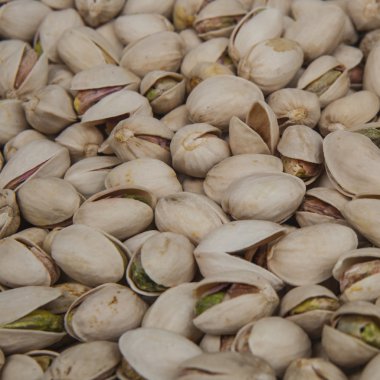 taze Antep fıstığı