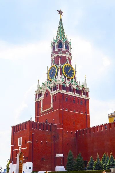 Tours Moscou Kremlin — Photo