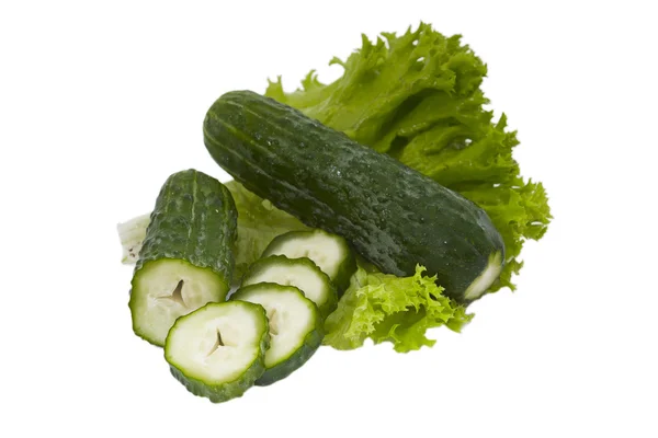 Lechuga y pepino — Foto de Stock