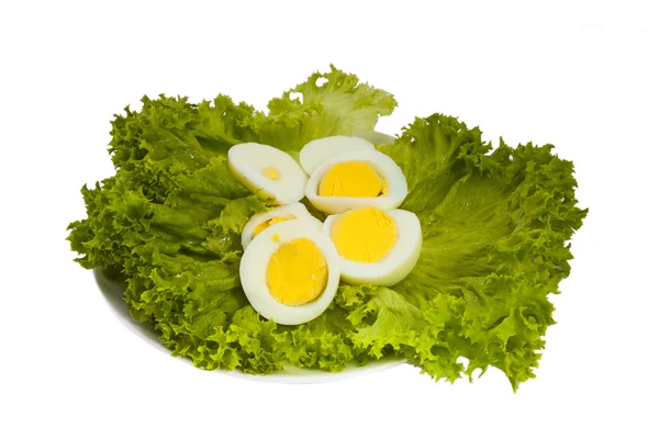 Eier-Salat — Stockfoto
