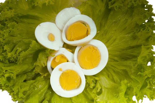 Eieren salade — Stockfoto
