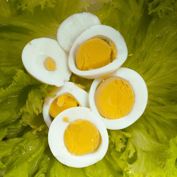 Ensalada de huevos —  Fotos de Stock