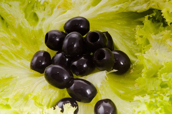 Schwarze Oliven und Salat — Stockfoto