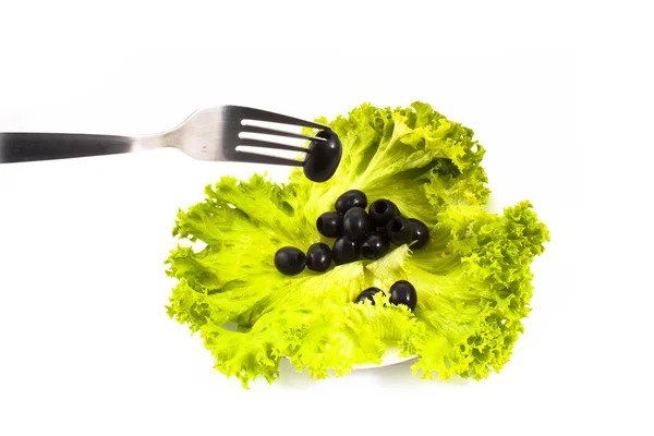 Schwarze Oliven und Salat — Stockfoto