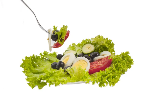 Salat und Salat isoliert — Stockfoto