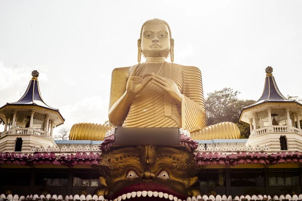 Tempel i Dambulla – stockfoto