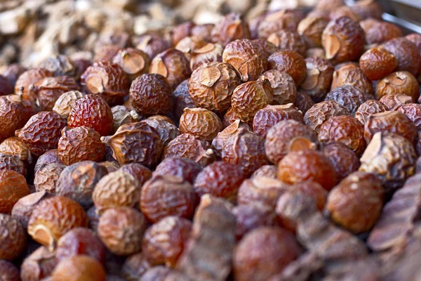 Spices — Stock Photo, Image