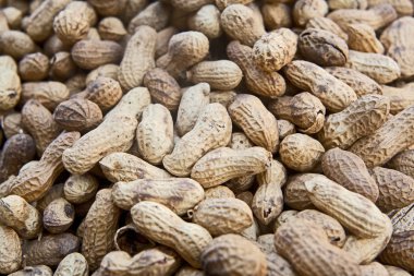 birçok Fıstık kabukları