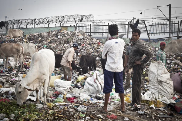 büyük çöp yığını ve kimliği belirsiz kişi sokakta