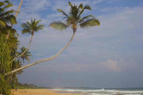 Tropikalna plaża — Zdjęcie stockowe